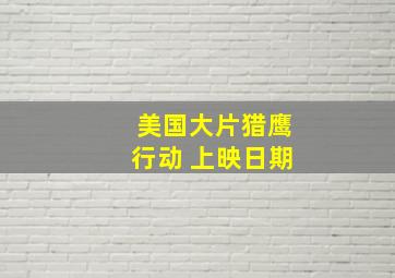 美国大片猎鹰行动 上映日期